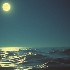 Hush Disguise by WHY🎧 SPACE