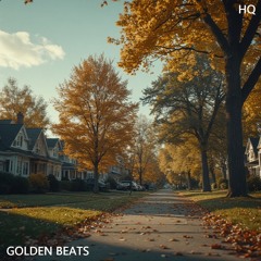 Cozy Corner - Golden Beats LP