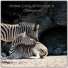 Zebra Call - Episode 008 with Davhelos