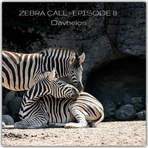 Zebra Call - Episode 008 with Davhelos