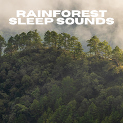 Baby Sleep Forest Sound