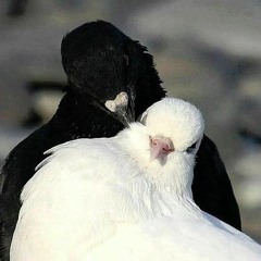Passion