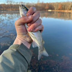 Hooked