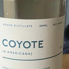 Coyote - Live Bodega Notts October '22