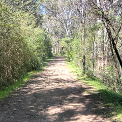 The Endless Trail