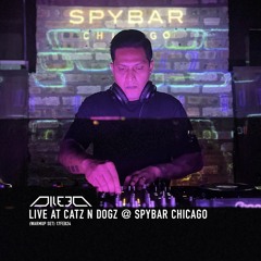 Live at Catz N Dogz @ Spybar Chicago (Warmup Set) 17FEB24