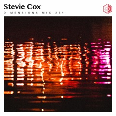 DIM251 - Stevie Cox