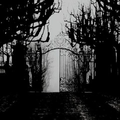 HEAVY AMBIENT/OTHER