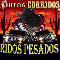 PURO CORRIDO MIX  RAZA   2021