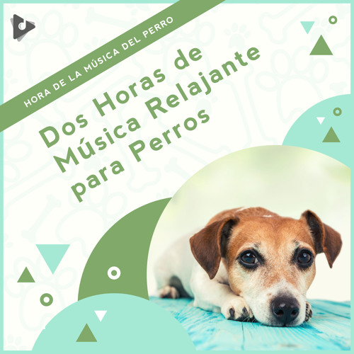 Stream Hora de la Música del Perro | Listen to 2 Horas de Música Relajante  para Perros playlist online for free on SoundCloud