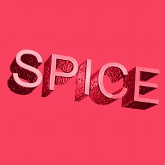 Spice by Witchwatching - The House of Red Doors Birthday | Wilde Renate Set