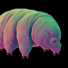 Tardigrades in space