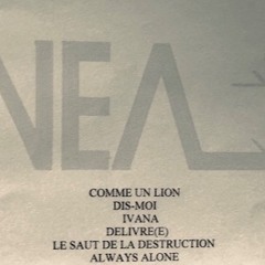 Comme Un Lion