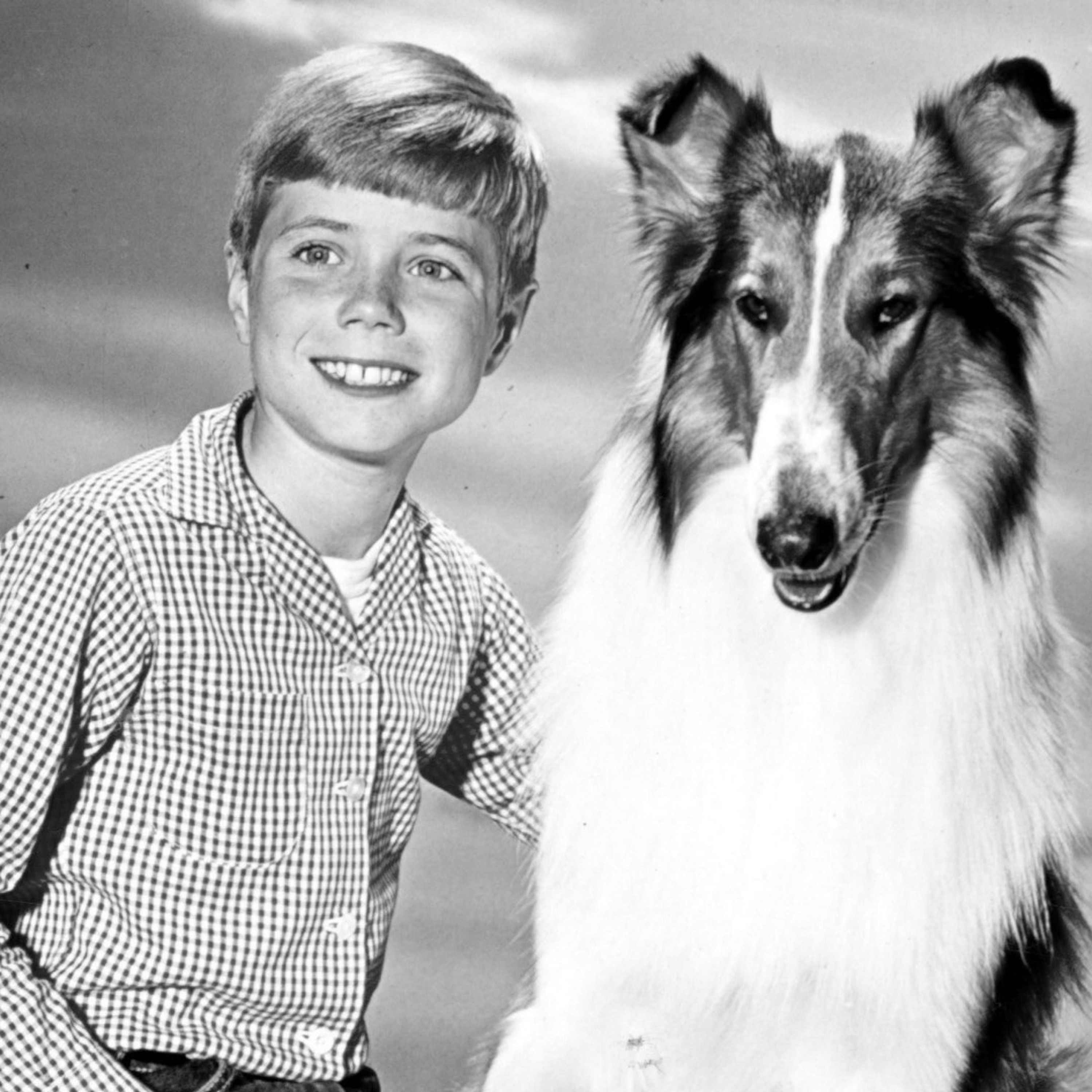 Quattro Stagioni_113 - Cani e cinema: Lassie