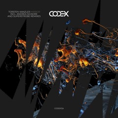 Torsten_Kanzler_Mirror (Andrea Signore Remix)_Codex_Rec