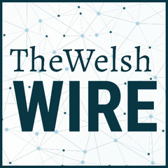 The Welsh Wire: Brewing Success with Chris O'Neill of One Well Brewing