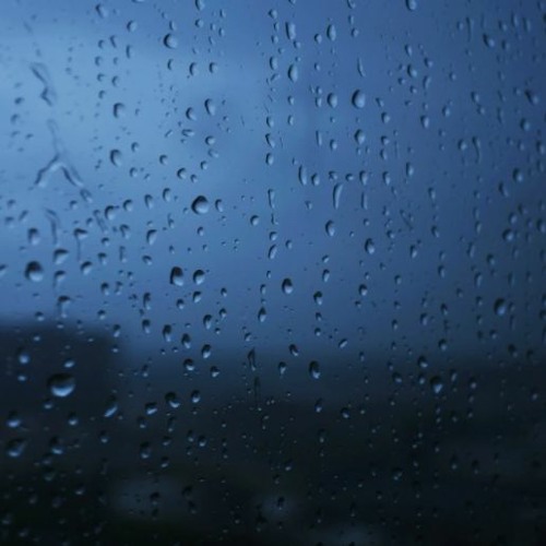 2021,Shawny background stock 👲 FREE DOWNLOAD