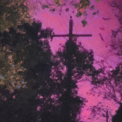 W.O.T (ft. suisside)