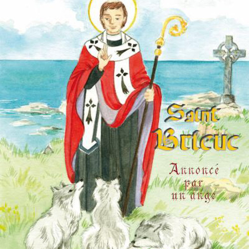Saint Brieuc (Mauricette Vial-Andru, éditions Saint Jude)