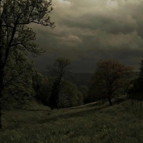 Outside - øneheart ( slowed + reverb ) x corecore