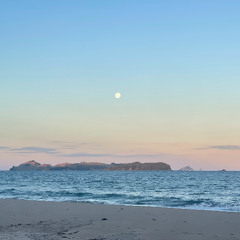 Cruisers & Groovers Vol 1