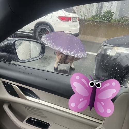 Samnec - Thái Hoàng