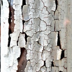 Broken Things Are Hints (2024) [use headphones]