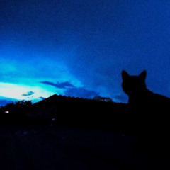 Remember me when you're gone