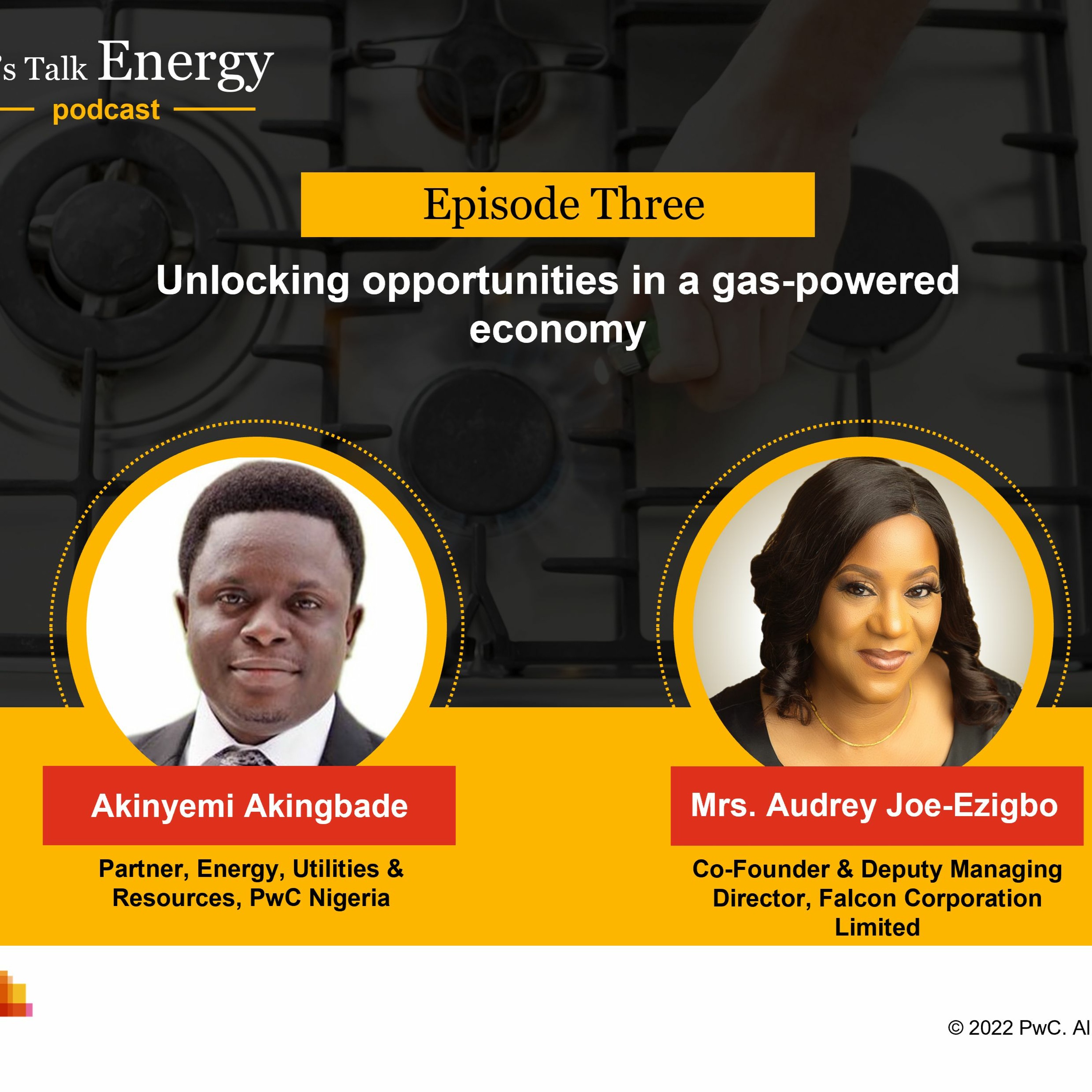 PwC Africa Podcasts