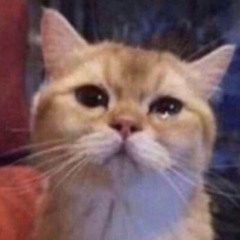 ‎⁨تنساني أنا مابنساك