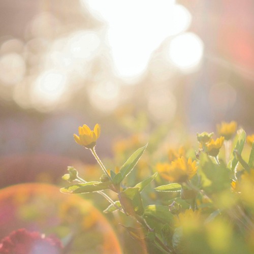 Minimal Piano No. 55, Ballad