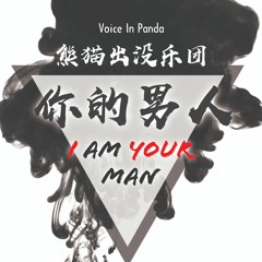 I am Your Man - Voice in Panda
