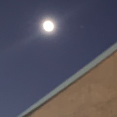 U SHOULD BE FADED BY THIS POINT (2021)