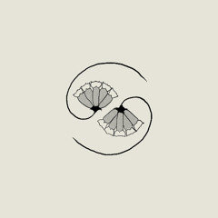 Fire at Static Valley