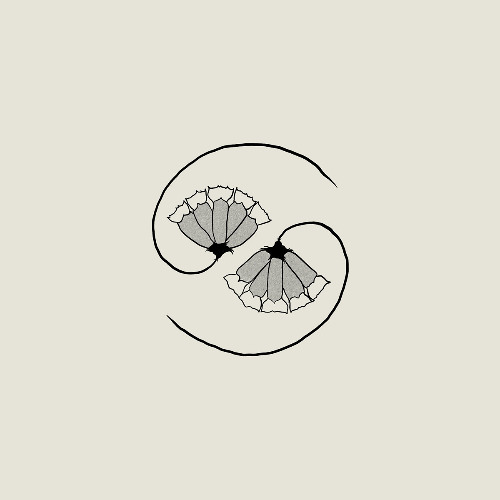 G_d's Pee AT STATE'S END! - Godspeed You! Black Emperor