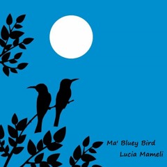 MA' BLUEY BIRD