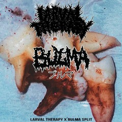 LARVAL THERAPY/ BULMA ブルマ- SPLIT 2023 (FULL EP)