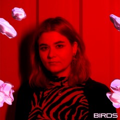 MAGENTA MIX #10 · Birds