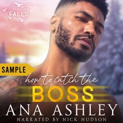 How To Catch The Boss - Sample