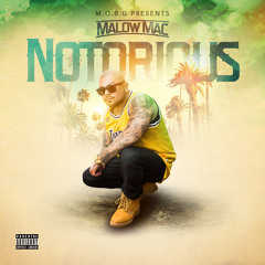Stream Malow Mac music | Listen to songs, albums, playlists for