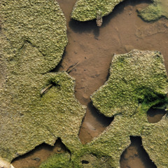 NAGEN - gutzgauch (snippet) live @ DER RAUM KOMMT, Krefeld