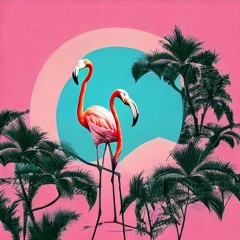 Mix 52 - Unique Flamingos
