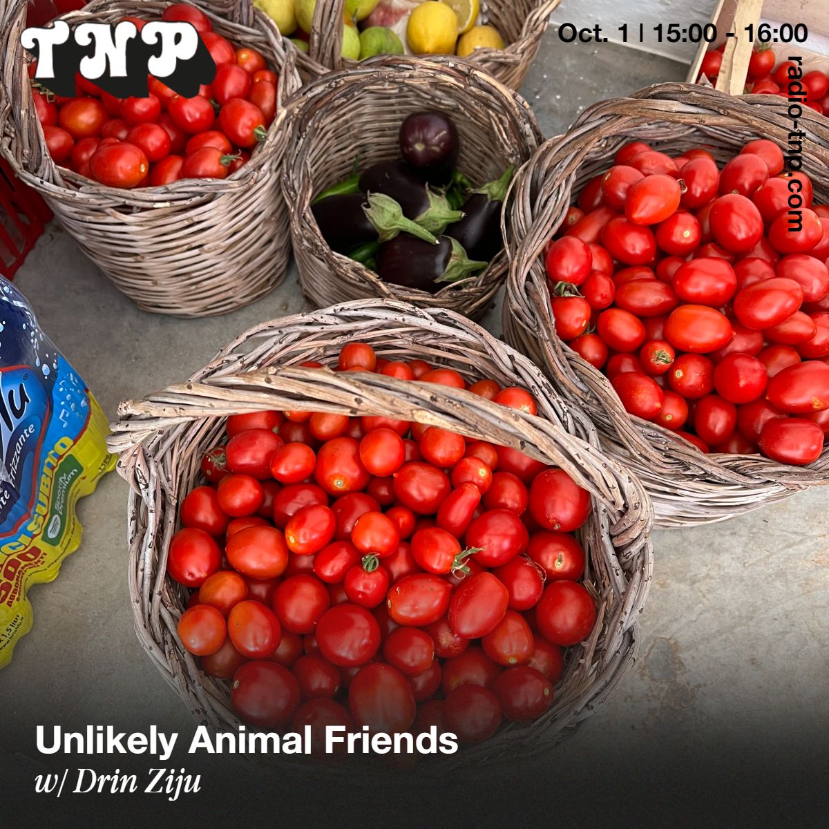 Unlikely Animal Friends w/ Drin Ziju