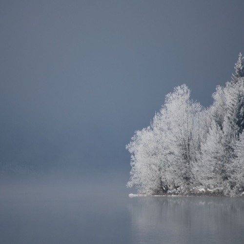 Sergey Sanchez - Lumbozero Mix November 2024