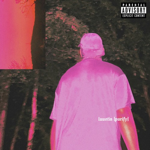 luustin/purify