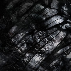 Nuboid - Repercussions [Imago LP]