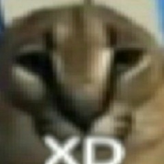 XD
