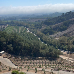 we dem niggas  - 8/26/21, 12.54 PM