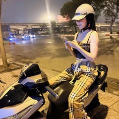 VIETMIX 2K25 - YÊU NHẦM NGƯỜI - BẢO THY