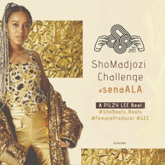 senaALa_ShoMadjozi Challenge